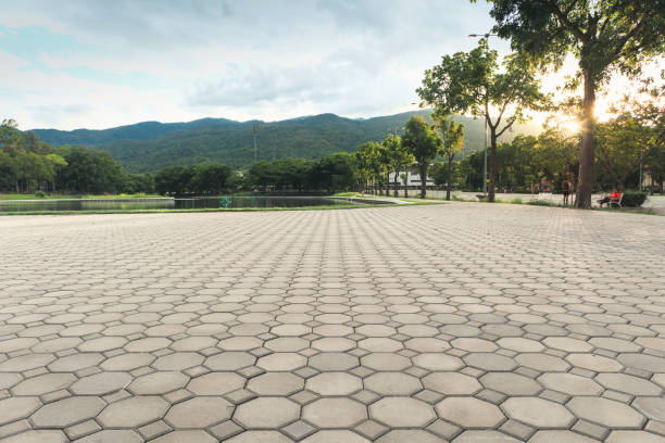 Best Driveway Pavers Near Me  in Salado, TX